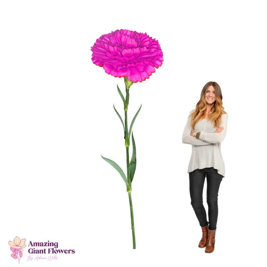 DIY Giant Carnation Flower Kit – 20 inch diameter Carnation - amazinggiantflowers