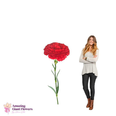 DIY Giant Carnation Flower Kit – 20 inch diameter Carnation - amazinggiantflowers