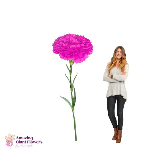 DIY Giant Carnation Flower Kit – 20 inch diameter Carnation - amazinggiantflowers