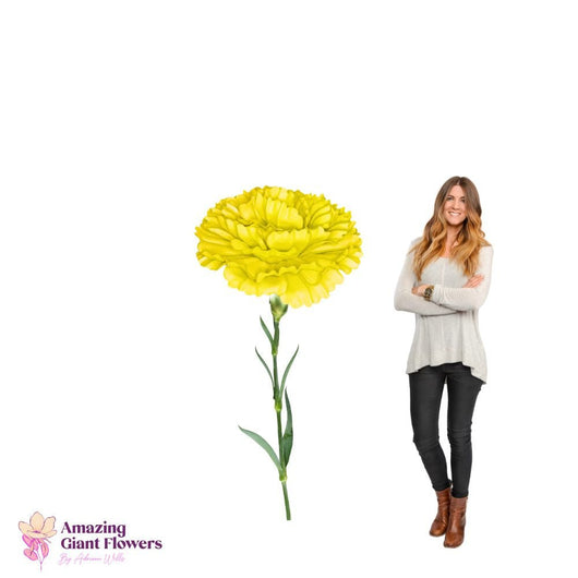 DIY Giant Carnation Flower Kit – 20 inch diameter Carnation - amazinggiantflowers