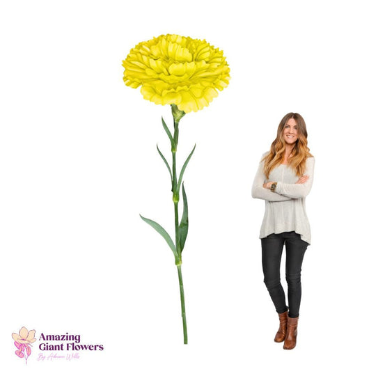 DIY Giant Carnation Flower Kit – 20 inch diameter Carnation - amazinggiantflowers