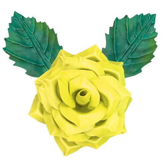 Floribunda Rose Wall Statement Kit - Bloom & Shape - amazinggiantflowers