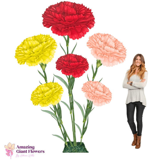 Carnation Dianthus-Giant Flower Arrangement
