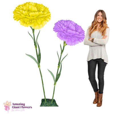 Carnation Dianthus-Giant Flower Arrangement