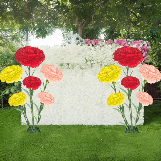 Carnation Dianthus-Giant Flower Arrangement