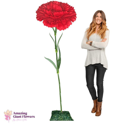 Carnation Dianthus-Giant Flower Arrangement