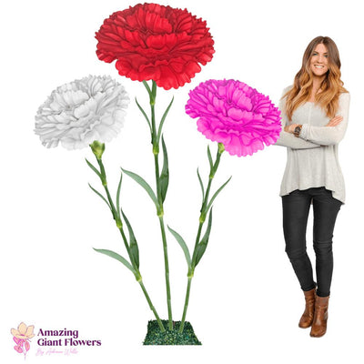 Carnation Dianthus-Giant Flower Arrangement