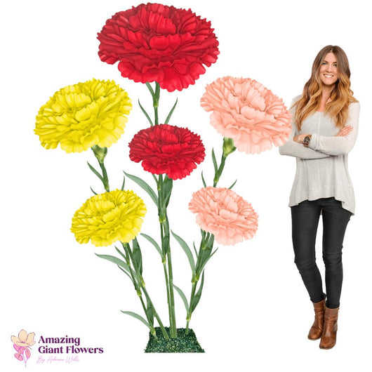 Carnation Dianthus-Giant Flower Arrangement