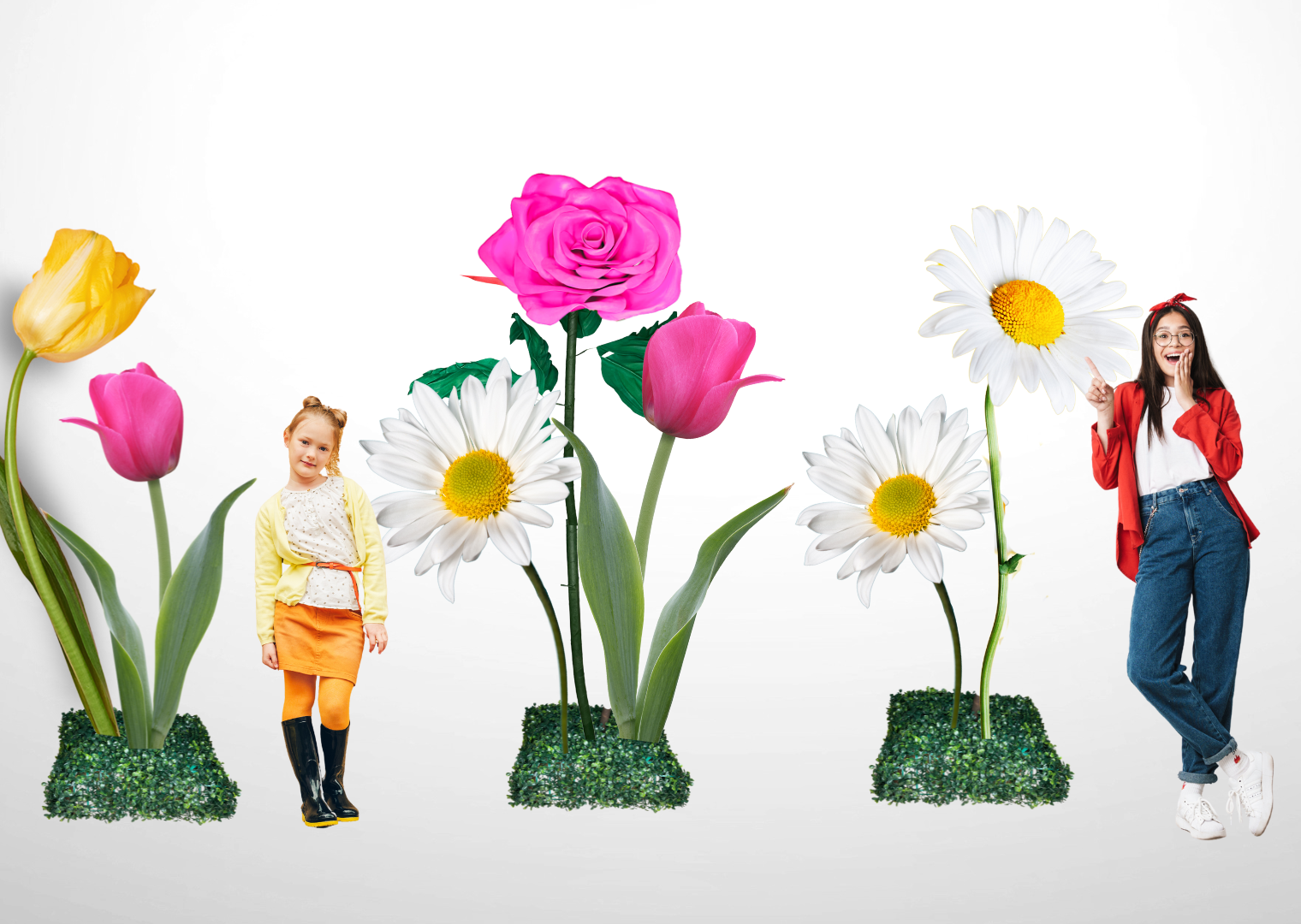 Mockup of Spring Giant Flowers of Tulips, Magenta Roses and Giant Daisies