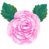 Old Garden Rose Wall Statement Kit - Bloom & Shape