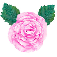 Old Garden Rose Wall Statement Kit - Bloom & Shape