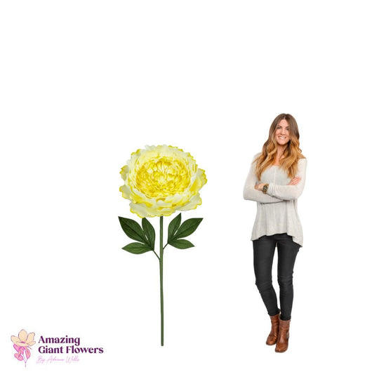 Peony Flower Kit – Giant Poeny Flower Kit - 20 inch diameter peony - amazinggiantflowers