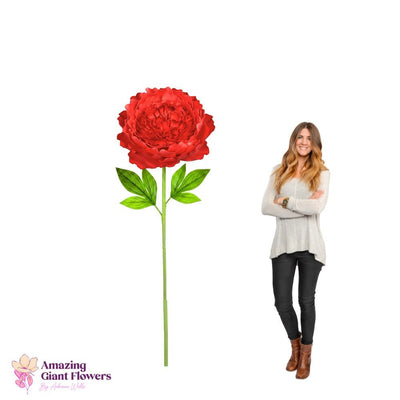 Peony Flower Kit – Giant Poeny Flower Kit - 20 inch diameter peony - amazinggiantflowers
