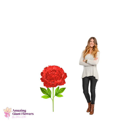 Peony Flower Kit – Giant Poeny Flower Kit - 20 inch diameter peony - amazinggiantflowers