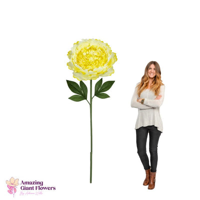 Peony Flower Kit – Giant Poeny Flower Kit - 20 inch diameter peony - amazinggiantflowers