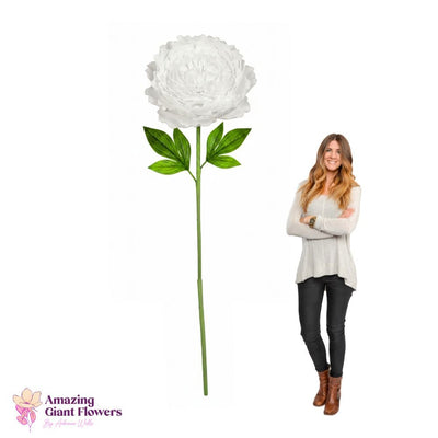 Peony Flower Kit – Giant Poeny Flower Kit - 20 inch diameter peony - amazinggiantflowers