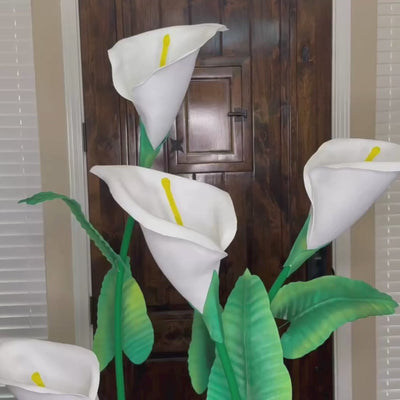 Giant Calla Lilies - 4 Stem Floor Arrangement for Office