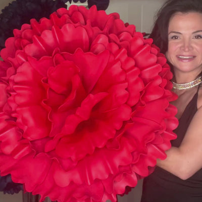 Carnation Dianthus-Giant Flower Arrangement