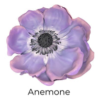 Red Anemone Wall Statement Kit - Bloom & Shape