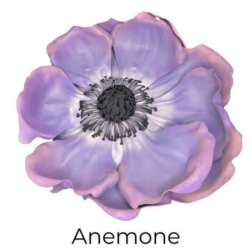 Red Anemone Wall Statement Kit - Bloom & Shape