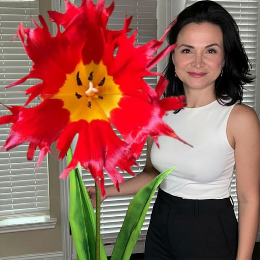 Summer Party Decor - Leo Tulip DIY Kit - Pre - Cut & Easy - amazinggiantflowers