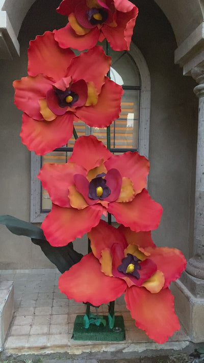 Discover the Exquisite Beauty of Orange Orchids